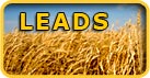 Leads