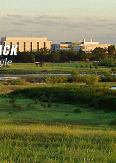 < return to home page