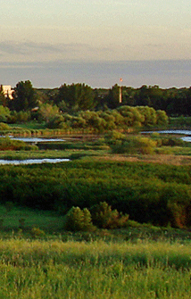 < return to home page